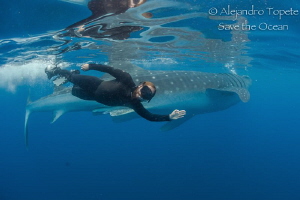 Roger and Whaleshark, Isla Contoy México by Alejandro Topete 